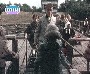 Какая-то пристань в Карелии (кадр из фильм деревня-Утка)